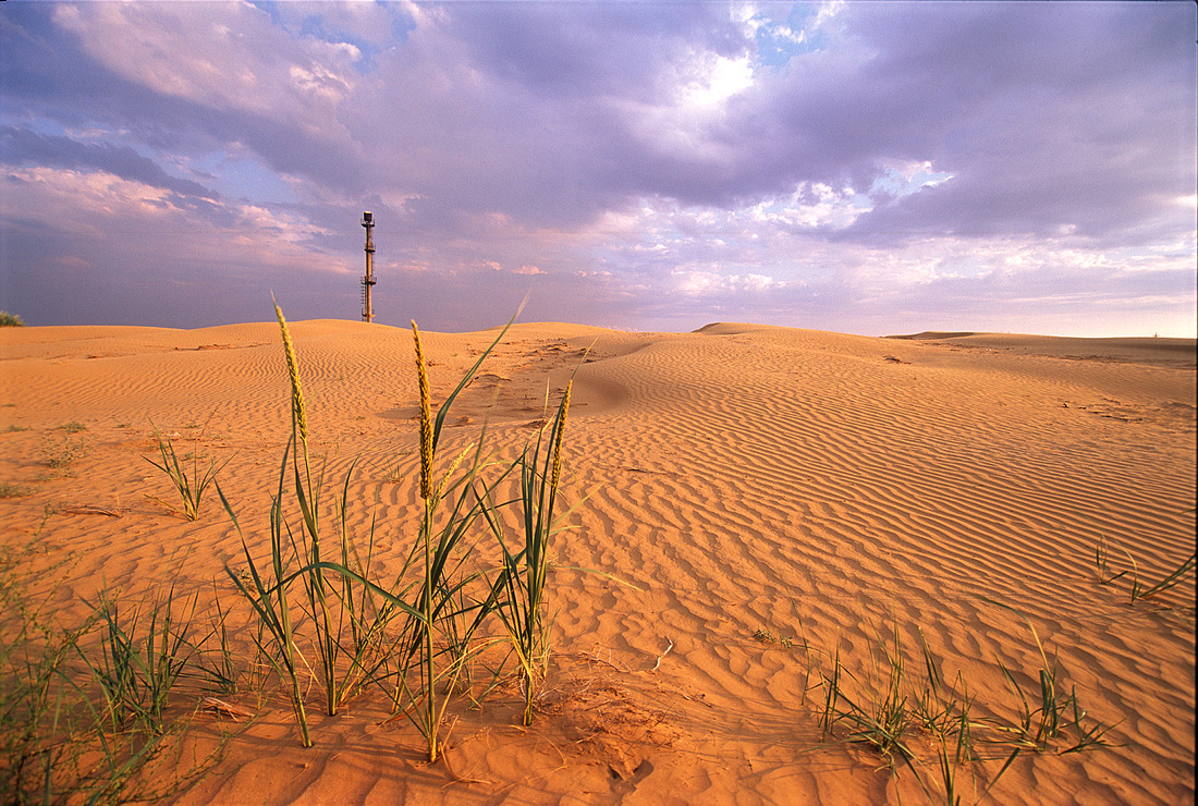 Основу почвенного покрова на территории АГК составляют слабогумусированные пески, а также бурые полупустынные песчаные почвы