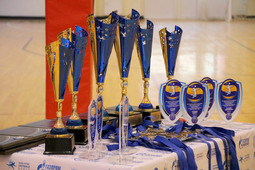 Кроме кубков и медалей победителям и призёрам организаторы подготовили отдельные награды лучшим игрокам турнира