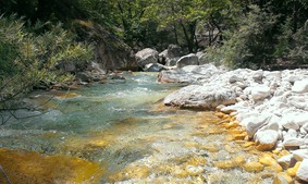 Чистая вода Лутра Аридеи, автор А.Попов,УС, 2 место
Номинация «Чистая вода»