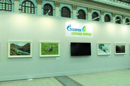 Экспозиция ПАО «Газпром» на VII общероссийском фестивале природы «Первозданная Россия»